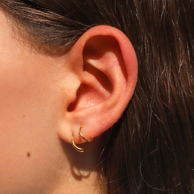 Classic Twirl Earrings in Titanium