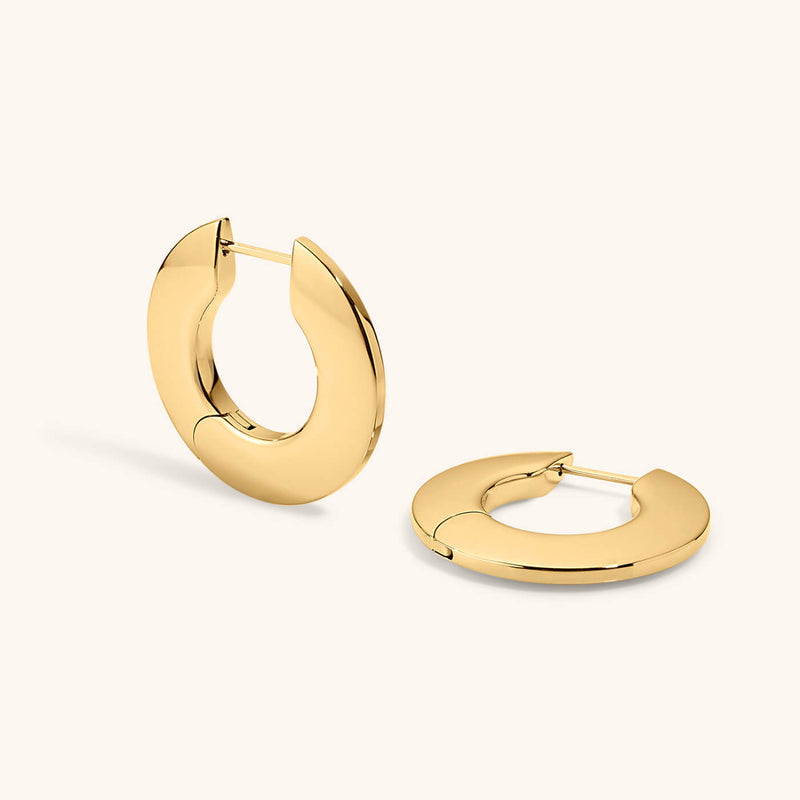 Disc Hoops